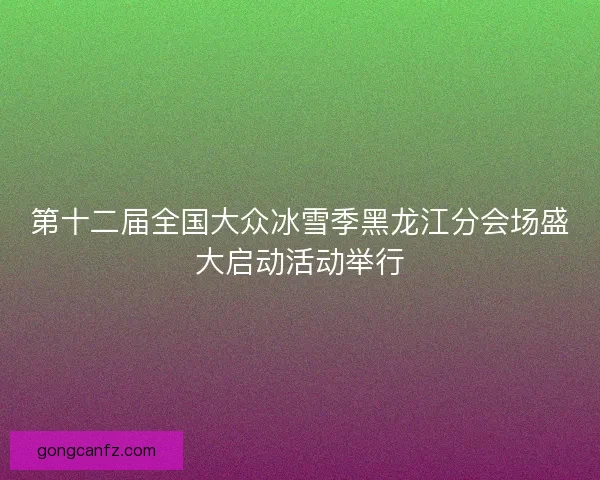 第十二届全国大众冰雪季黑龙江分会场盛大启动活动举行
