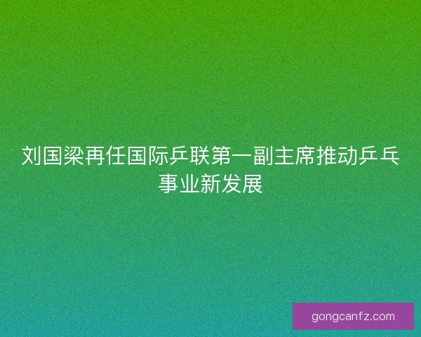 刘国梁再任国际乒联第一副主席推动乒乓事业新发展 刘国梁再任国际乒联第一副主席推动乒乓事业新发展